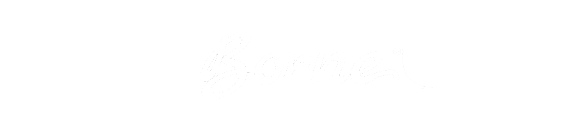 bornemusic
